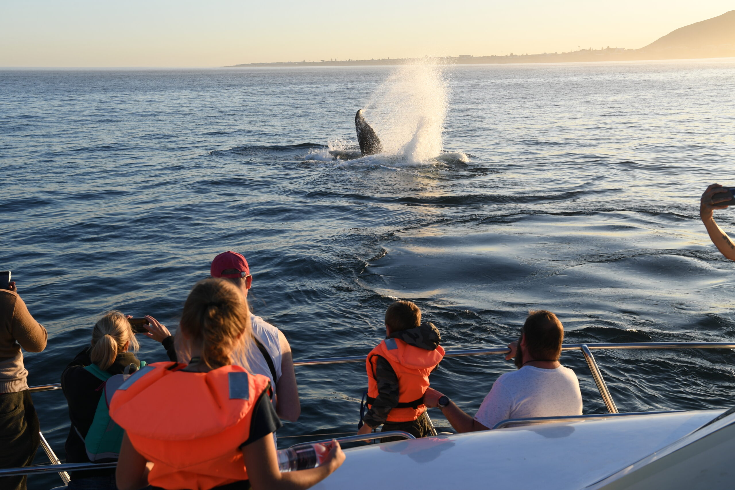 Passengers photographing whales aboard a Southern Right Charters catamaran.
